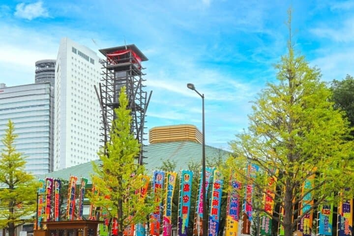 Grand Sumo Tournament Tour, Osaka March 2026 (English Guide) — photo 4