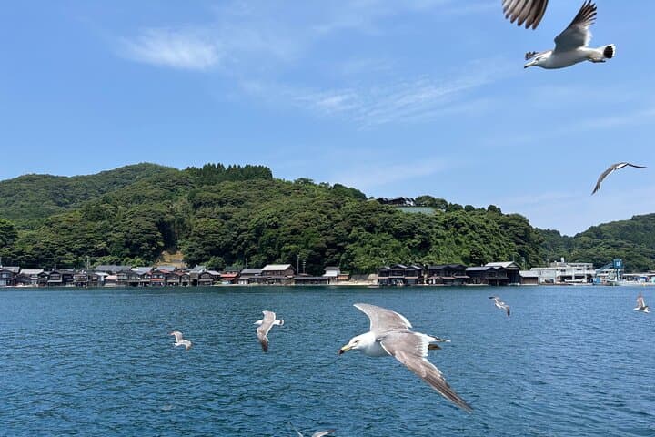 Amanohashidate & Ine Day Trip with Cable Car & Boat — photo 11