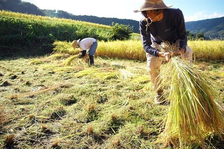 Custom Bike and Walk Countryside Adventure in Rural Japan — photo 13