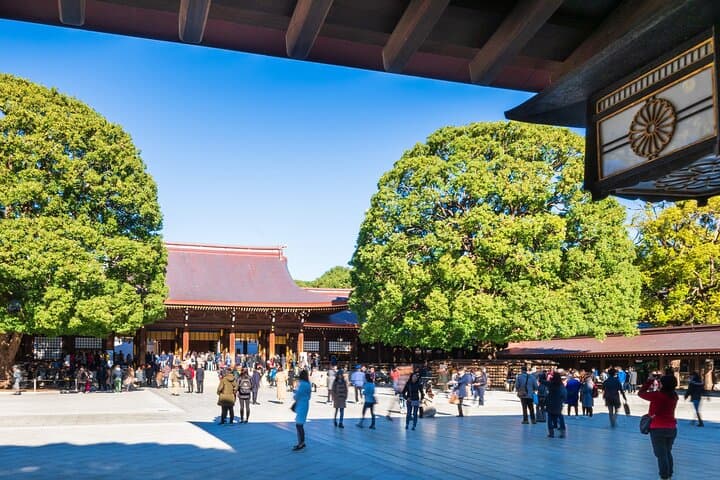 Tokyo Private Guided Day Tour with Private Vehicle Hotel Pickup — photo 6