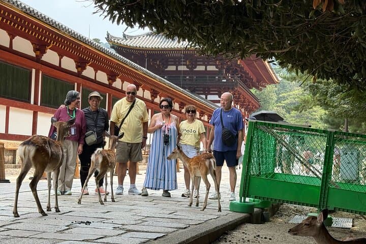 Kyoto Full-Day Excursion from Kobe (Osaka) Port — photo 7