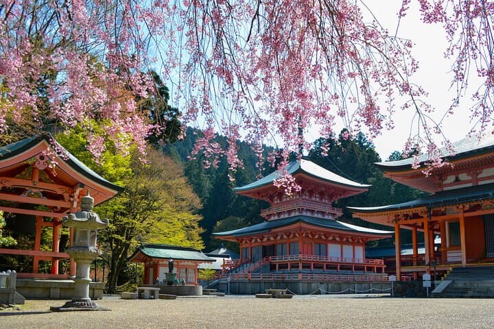 Kyoto Full-Day Excursion from Kobe (Osaka) Port — photo 18