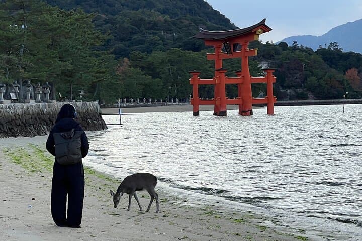 Kyoto Full-Day Excursion from Kobe (Osaka) Port — photo 4