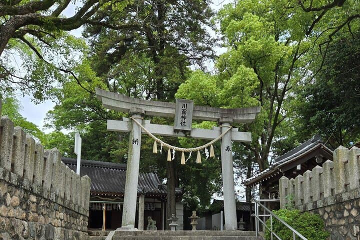 Temple Paths and Manga Dreams — photo 11