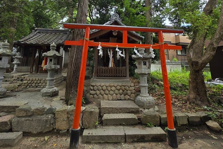 Temple Paths and Manga Dreams — photo 13