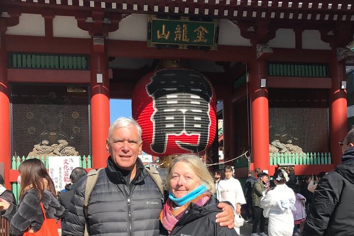 Tokyo 5 Hour Private City Tour & 5meter Giant Robot Piloting Tour — photo 14