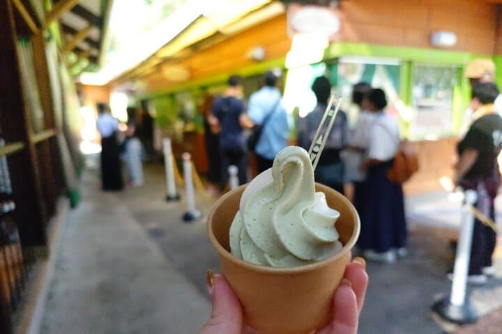 Exclusive Wasabi Harvesting, Soba Lunch and Matsumoto Castle Tour — photo 7