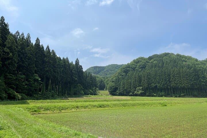 Gastronomic Sake Tasting Experience from Kanazawa or Komatsu — photo 6