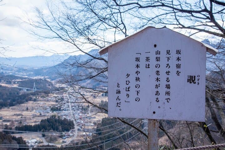 Usui Pass Edo Era Walk — photo 7