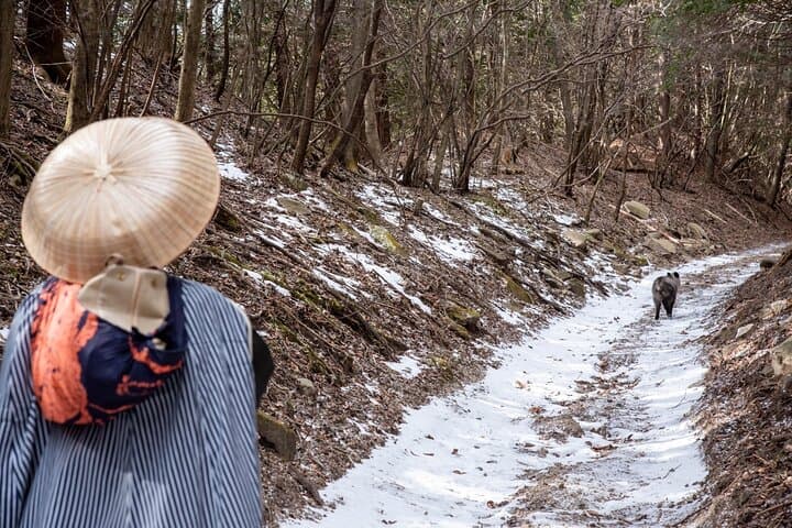 Usui Pass Edo Era Walk — photo 11