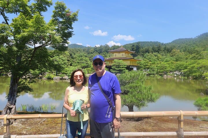Luxury Kyoto 1-Day Private Car Tour with Nara & Osaka Options — photo 3