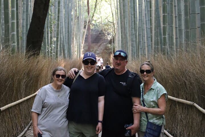 Luxury Kyoto 1-Day Private Car Tour with Nara & Osaka Options — photo 6