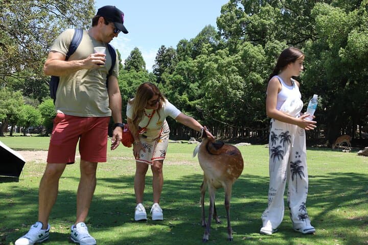 Luxury Kyoto 1-Day Private Car Tour with Nara & Osaka Options — photo 7