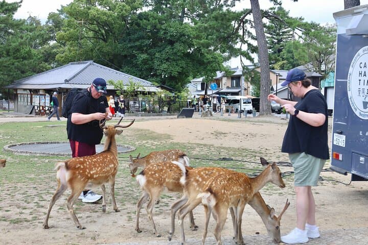 Luxury Kyoto 1-Day Private Car Tour with Nara & Osaka Options — photo 12