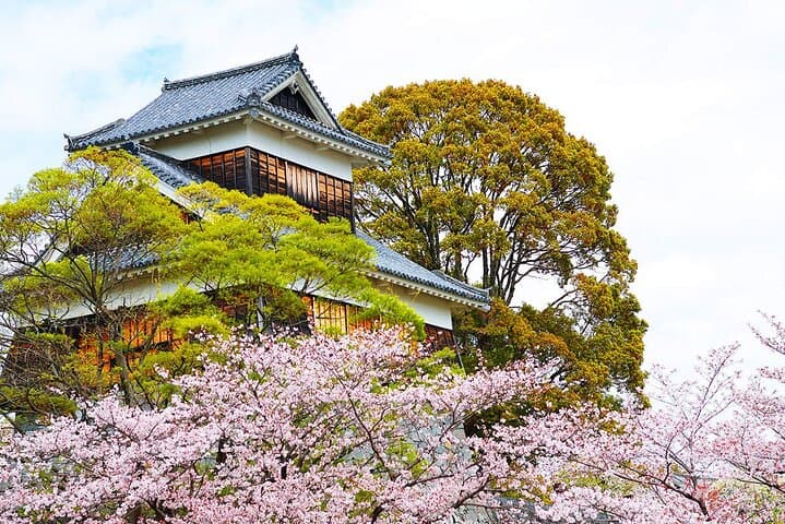 Discover the Heart of Kyushu with Aso Adventure Tour from Fukuoka — photo 19