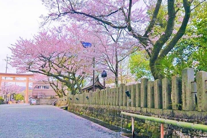 Discover the Heart of Kyushu with Aso Adventure Tour from Fukuoka — photo 20