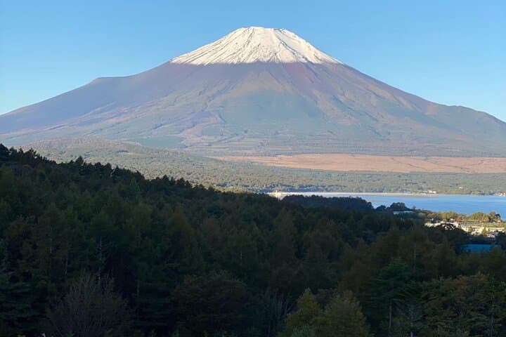 Private Tour Mt. Fuji Hakone Yokohama — photo 3