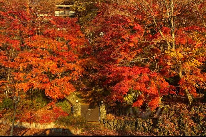 Private Tour Mt. Fuji Hakone Yokohama — photo 8