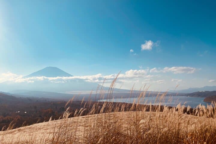 Private Tour Mt. Fuji Hakone Yokohama — photo 5