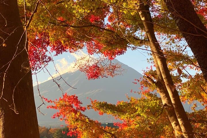 Private Tour Mt. Fuji Hakone Yokohama — photo 9