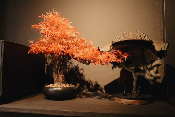 Traditional Japanese Knife Sharpening Class in Kyoto [EN OK!] — photo 3
