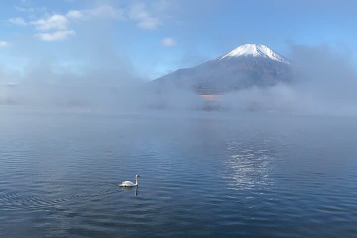 Private Tour Mt. Fuji Hakone Yokohama — photo 4