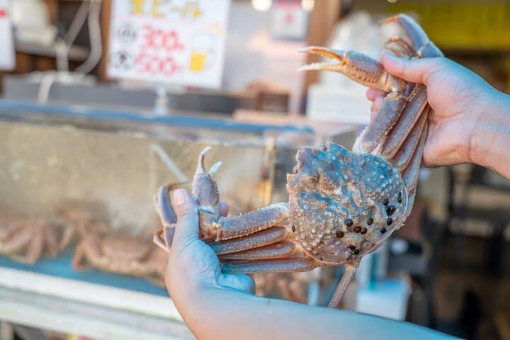 Hakodate: Morning Market Tour with Seafood Tasting Options — photo 4