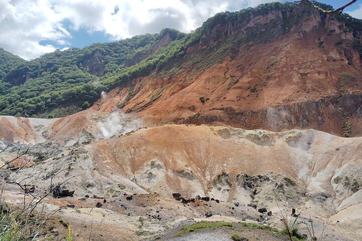 Hokkaido: Bear Park and Jigokudani Hell Valley Tour — photo 13