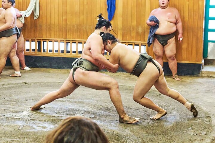 Tokyo: Sumo Morning Practice Viewing Tour at a Real Stable — photo 9