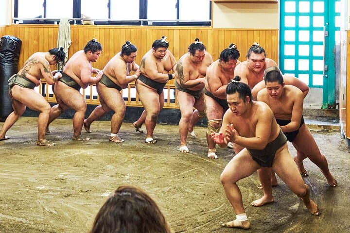 Tokyo: Sumo Morning Practice Viewing Tour at a Real Stable — photo 5