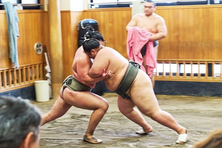 Tokyo: Sumo Morning Practice Viewing Tour at a Real Stable — photo 14