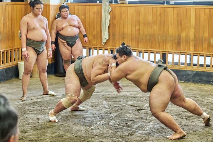 Tokyo: Sumo Morning Practice Viewing Tour at a Real Stable — photo 2