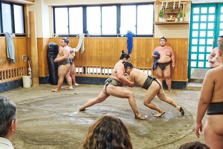 Tokyo: Sumo Morning Practice Viewing Tour at a Real Stable — photo 17