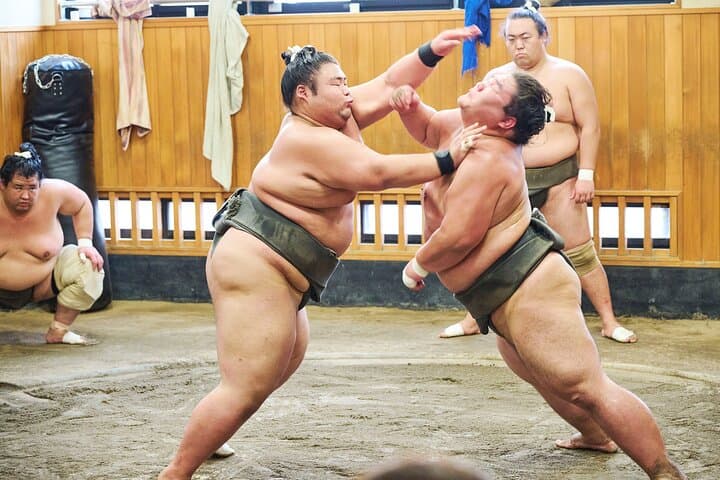 Tokyo: Sumo Morning Practice Viewing Tour at a Real Stable — photo 3