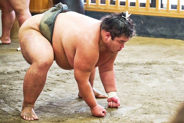 Tokyo: Sumo Morning Practice Viewing Tour at a Real Stable — photo 6