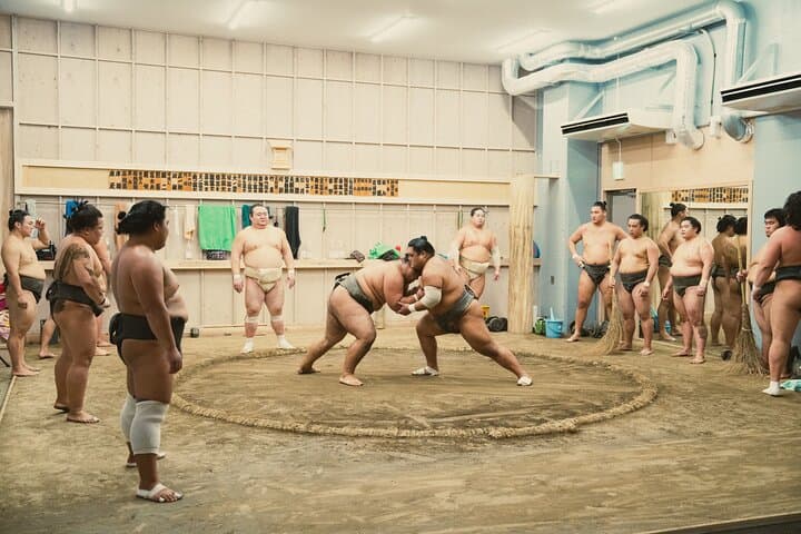 Tokyo Sumo Morning Training — photo 5