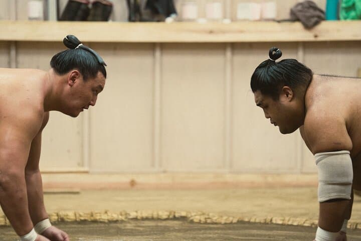 Tokyo Sumo Morning Training — photo 8
