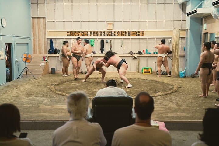 Tokyo Sumo Morning Training — photo 4