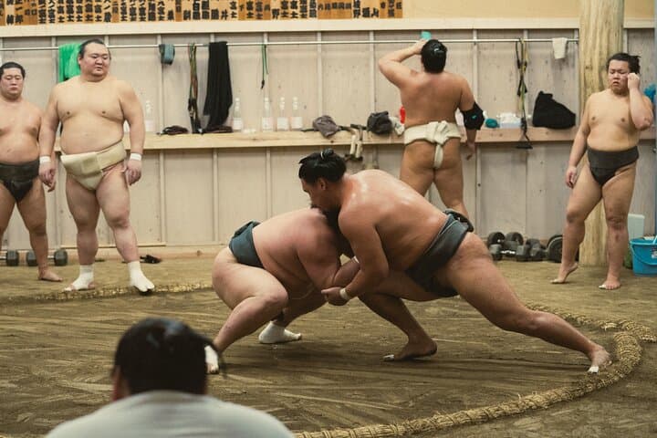 Tokyo Sumo Morning Training — photo 9