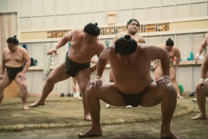 Tokyo Sumo Morning Training — photo 2