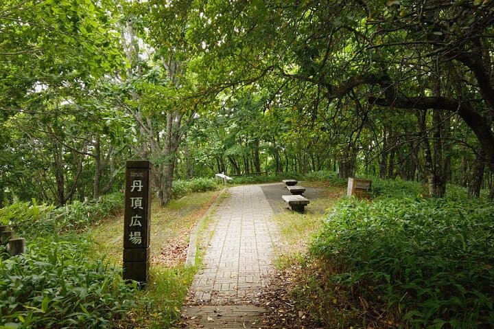 Private Tour with Kushiro Marsh, Tancho, and Local Market — photo 8