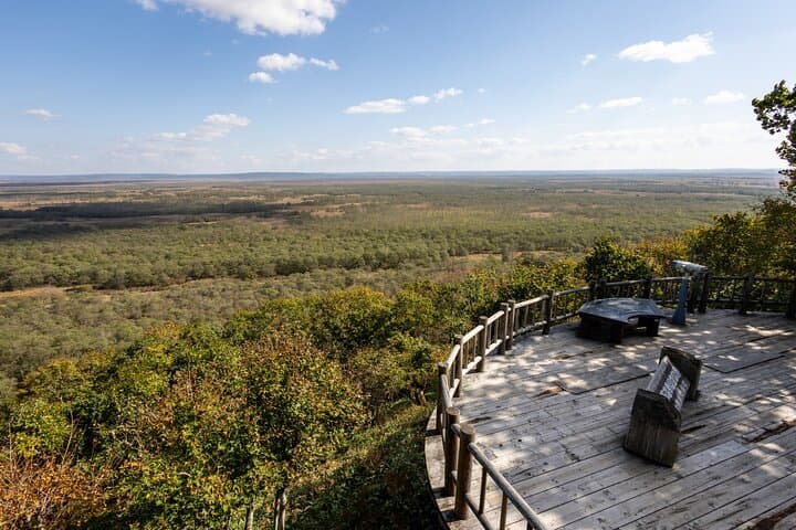 Private Tour with Kushiro Marsh, Tancho, and Local Market — photo 9