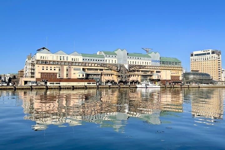 Private Tour with Kushiro Marsh, Tancho, and Local Market — photo 12