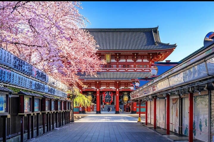 Tokyo full day tour with English speaking driver — photo 6