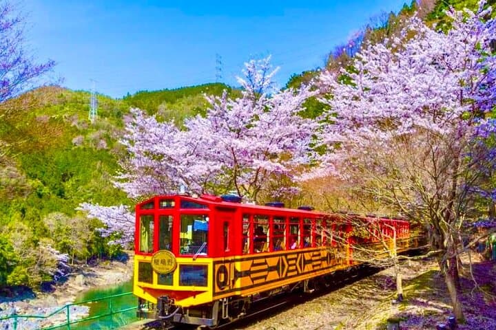 Nara Deer Park, Fushimi Inari & Arashiyama Bamboo Forest Day Tour — photo 4