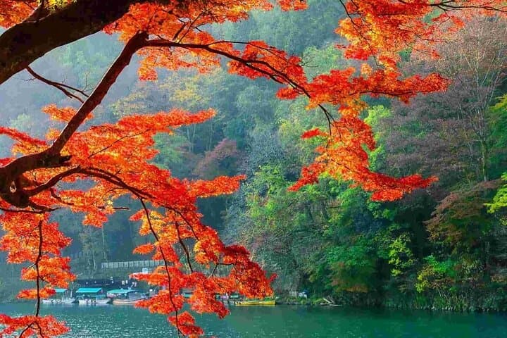 Nara Deer Park, Fushimi Inari & Arashiyama Bamboo Forest Day Tour — photo 3