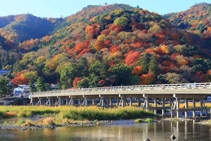 Nara Deer Park, Fushimi Inari & Arashiyama Bamboo Forest Day Tour — photo 16