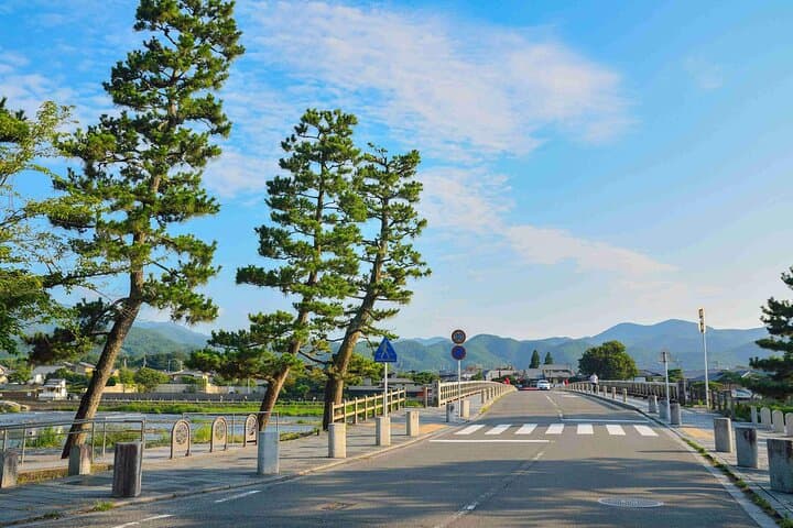 Nara Deer Park, Fushimi Inari & Arashiyama Bamboo Forest Day Tour — photo 17
