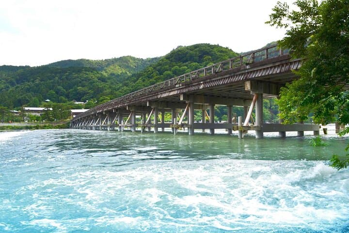 Nara Deer Park, Fushimi Inari & Arashiyama Bamboo Forest Day Tour — photo 19