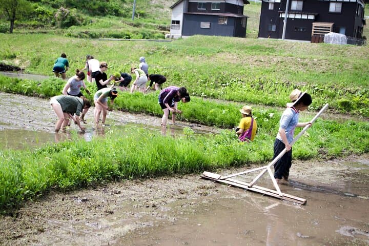 Custom Bike and Walk Countryside Adventure in Rural Japan — photo 12